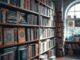 Diversität durch Literatur